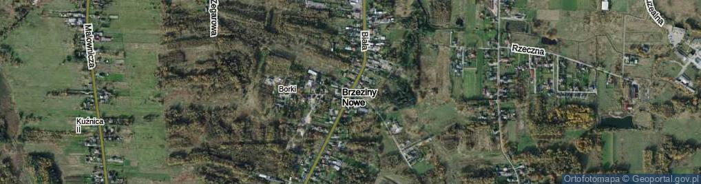 Zdjęcie satelitarne Brzeziny Nowe ul.